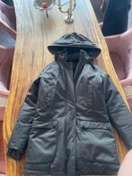 Airforce jas, Ophalen of Verzenden, Zo goed als nieuw, Maat 34 (XS) of kleiner, Grijs