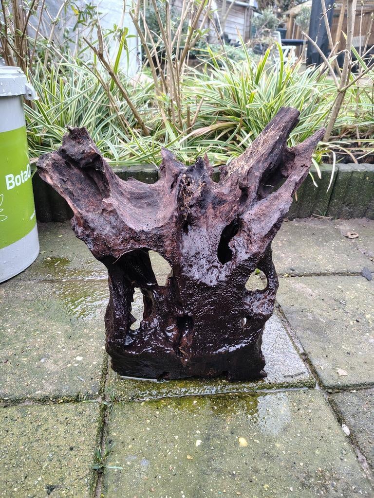 Kienhout voor aquarium, Dieren en Toebehoren, Ophalen, Plant(en), Steen of Hout