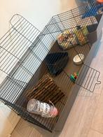 Konijnen hok met alle toebehoren, Ophalen of Verzenden, 110 cm of meer, Hok, 90 cm of meer