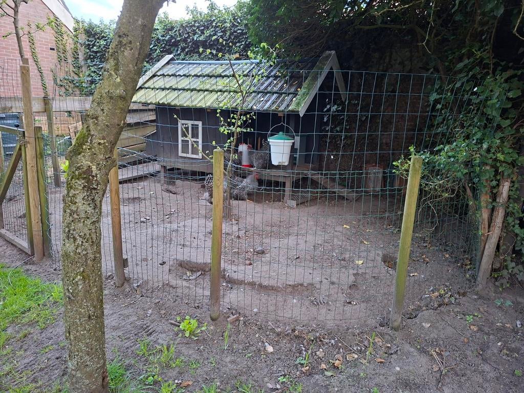 Kippen hok. Complete hobby met alle toebehoren, Ophalen, Zo goed als nieuw, Hout, Overige typen