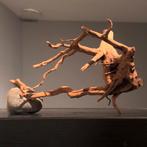 Uniek stuk Spiderwood / Driftwood / Kienhout, Hout Decoratie, Ophalen of Verzenden, Zo goed als nieuw, Plant(en), Steen of Hout
