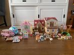 Grote Sylvanian Families collectie, Ophalen of Verzenden, Zo goed als nieuw, Jongen of Meisje