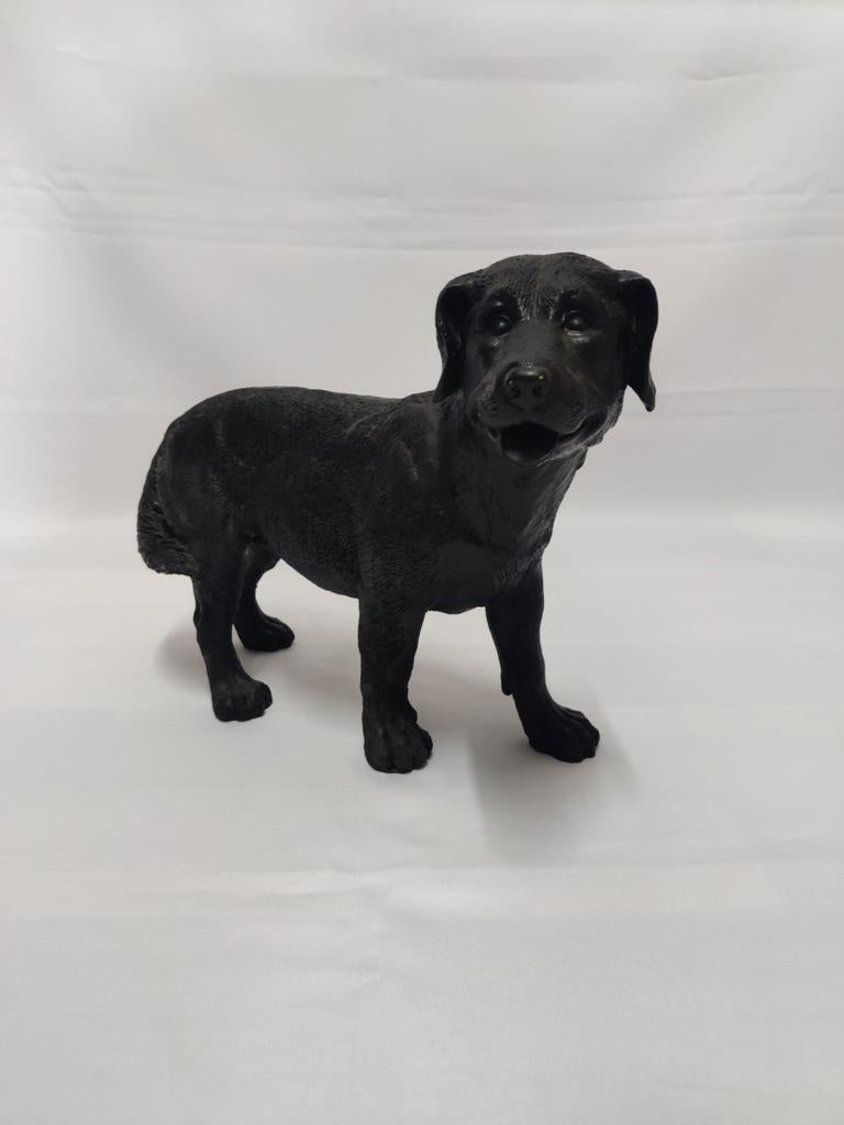 Labrador Retriever zwart gekleurd. Hond, Ophalen of Verzenden, Nieuw, Dier