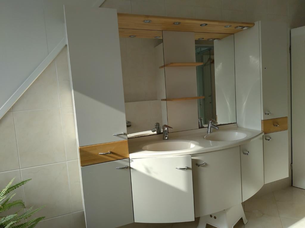 Groot badkamermeubel, Huis en Inrichting, Badkamer | Badkamermeubels, Ophalen, Gebruikt, 25 tot 50 cm, Minder dan 100 cm