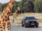 4 tickets Beekse Bergen, Tickets en Kaartjes, Recreatie | Dierentuinen, Drie personen of meer, Ticket of Toegangskaart