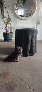 Trompe-l'oeil wicker table, Ophalen