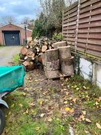 Brandhout te koop, Tuin en Terras, Haardhout, 3 tot 6 m³, Ophalen of Verzenden, Eikenhout, Blokken