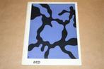 Boek over het werk van Jean Arp - 1962, Ophalen of Verzenden, Zo goed als nieuw, Schilder- en Tekenkunst