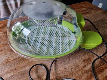 Broedmachine  beschikbaar voor biedingen