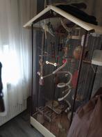 Parkieten, Meerdere dieren, Parkiet