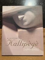 Kunstkring Kallipégé 1980 - 2005, Ophalen of Verzenden, Zo goed als nieuw, Schilder- en Tekenkunst