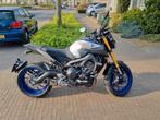 Yamaha MT 09 SP, 849 cc, 3 cilinders, Particulier, Meer dan 35 kW