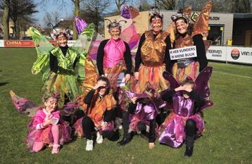 Vlinders beschikbaar voor biedingen