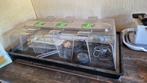 Kweekbak / propagator met accessoires 112x62cm, Ophalen, Gebruikt, Kweekbak