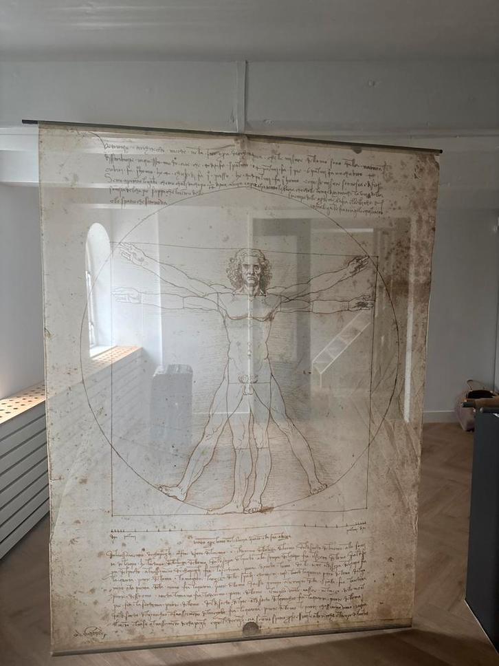 Wandkleed Da Vinci - Vitruviusman 200x180cm poster doek, Antiek en Kunst, Kunst | Tekeningen en Foto's, Ophalen of Verzenden
