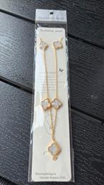 Ketting klaver NEW goud/wit verstelbaar sieraden banden, Verstelbaar, Overige kleuren, Nieuw, Ophalen of Verzenden