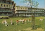 HAREN Beatrixoord Hertenkamp, Verzenden, 1980 tot heden, Gelopen, Groningen