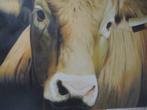 canvasprint Koe, 90 x 120 cm, Huis en Inrichting, Ophalen, Gebruikt, Print, 100 tot 125 cm