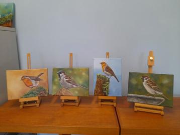 Partij 14 - schilderij roodborstjes en mussen 4x- eigen werk beschikbaar voor biedingen