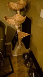 Katten krappaal, Ophalen, Gebruikt