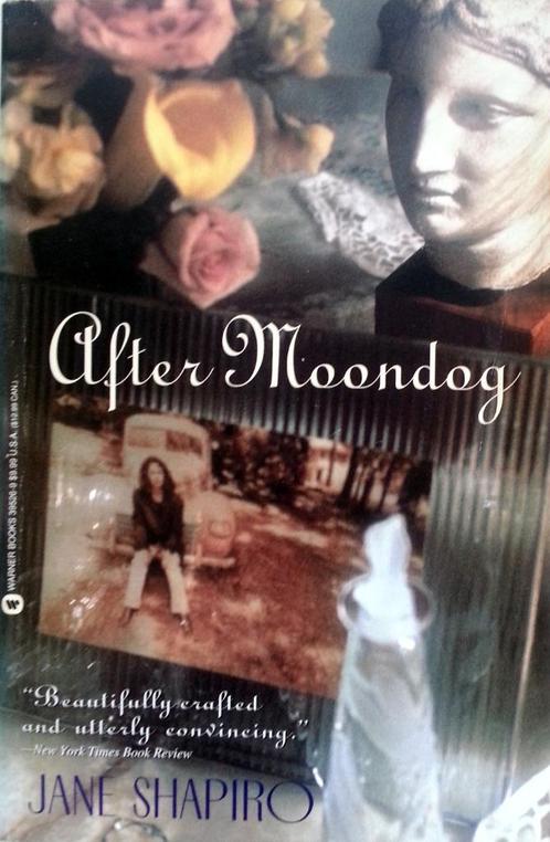 Jane Shapiro - After Moondog (ENGELSTALIG), Boeken, Taal | Engels, Gelezen, Fictie, Ophalen of Verzenden