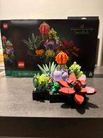 Lego botanical collection succulents, Kinderen en Baby's, Speelgoed | Duplo en Lego, Ophalen of Verzenden, Zo goed als nieuw, Complete set