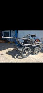 Hans van der mee koets, Dieren en Toebehoren, Rijtuigen en Koetsen