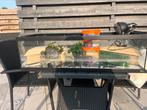 (Schildpad) aquarium (alles erbij), Ophalen of Verzenden, Zo goed als nieuw, Leeg aquarium