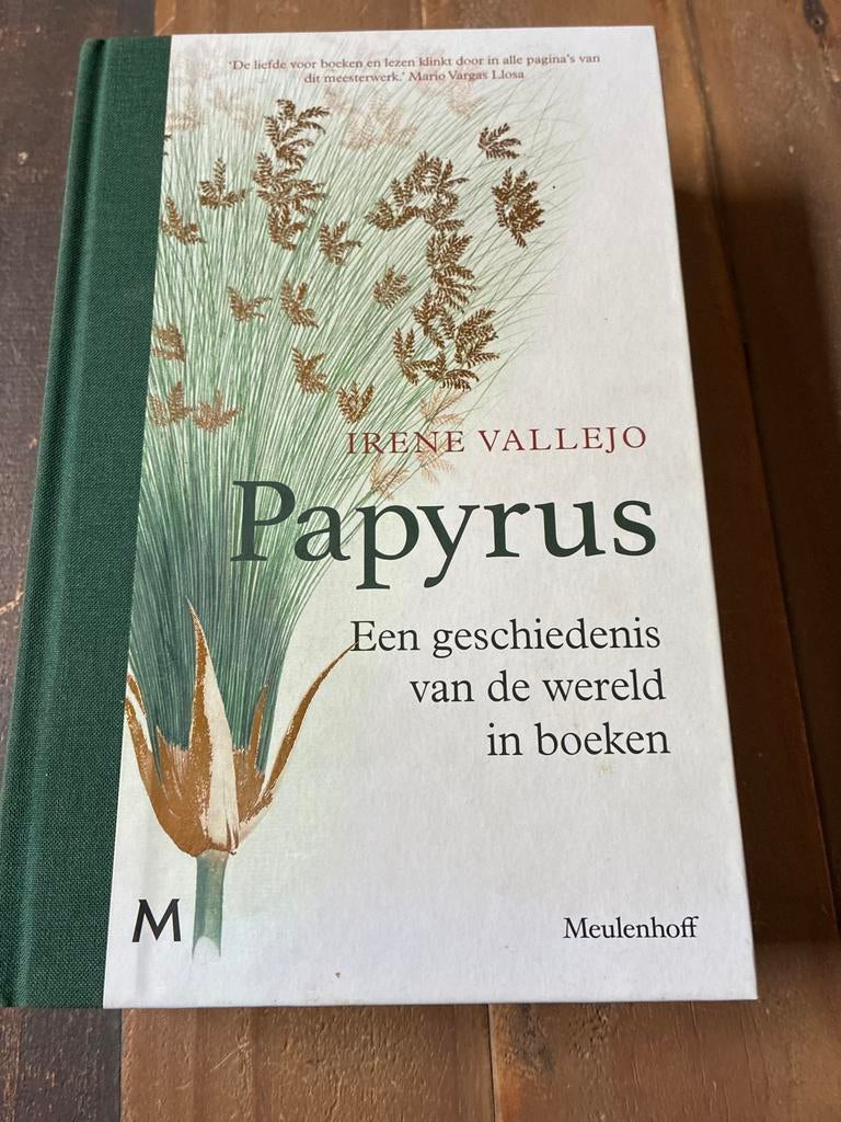 Irene Vallejo - Papyrus, Boeken, Overige Boeken, Zo goed als nieuw, Ophalen of Verzenden