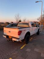 Ford F-150 FX4, Automaat, Stof, Wit, 4949 cc