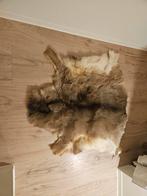 Dierenvel, Ophalen, Zo goed als nieuw, Minder dan 10 m², Tapijt