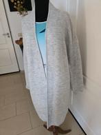 Lange vest Claudia Strater 42, Ophalen of Verzenden, Zo goed als nieuw, Maat 42/44 (L)