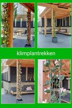 Klimplantrekken  tegen planken en balken, Tuin en Terras, Palen, Balken en Planken, Ophalen of Verzenden, Nieuw, 250 cm of meer