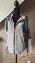 Hero Hoodie Renault Trucks, Ophalen of Verzenden, Zo goed als nieuw