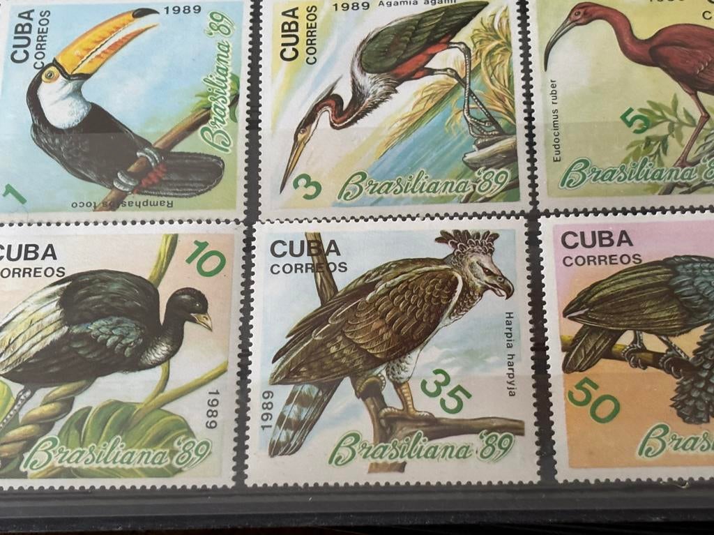 Vogel, Cuba 1989, Postzegels en Munten, Ophalen of Verzenden, Postfris, Dier of Natuur