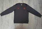 Grijze Feyenoord Castore trui maat 158, Kinderen en Baby's, Trui of Vest, Ophalen of Verzenden, Zo goed als nieuw, Feyenoord