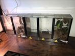 Spinnerij terrarium, Dieren en Toebehoren, Ophalen, Zo goed als nieuw, Terrarium of Paludarium