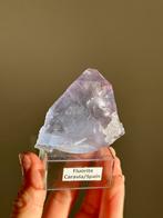 Fluorieten op voet, Verzenden