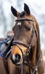 Lemieux competition flash, Dieren en Toebehoren, Paarden en Pony's | Hoofdstellen en Tuigage, Nieuw, Ophalen of Verzenden, Springen