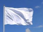 Witte Vlag wit, Diversen, Vlaggen en Wimpels, Nieuw, Ophalen of Verzenden