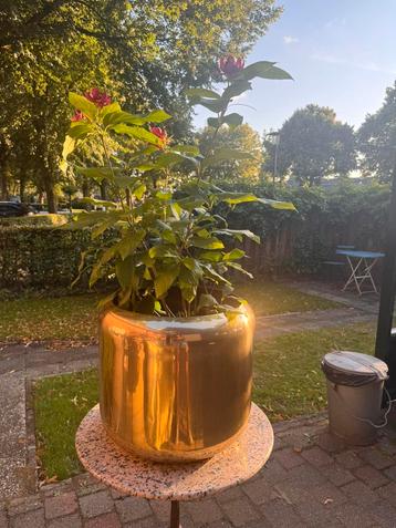 Unieke Vintage Design Plantenbak Paul Mayen beschikbaar voor biedingen