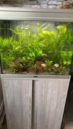 Aqualantis aquarium eventueel met aantal bewoners, Dieren en Toebehoren, Vissen | Aquaria en Toebehoren, Ophalen, Gebruikt, Gevuld zoetwateraquarium