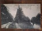 Leersum - Laan naar het kasteel Broekhuizen, Verzamelen, Verzenden, Voor 1920, Gelopen, Gelderland