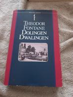 Theodor Fontane, Dolingen Dwalingen 1 ste druk 1978, Ophalen of Verzenden, 20e eeuw of later, Zo goed als nieuw