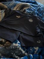 Te koop Nieuw PSV Trainingspak Zomer Set - Lage Prijs!, Kleding | Heren, Sportkleding, Blauw, Ophalen of Verzenden, Voetbal, Maat 56/58 (XL)