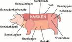 Scharrel varken pakketten, Dieren en Toebehoren, Schapen, Geiten en Varkens, Meerdere dieren, Varken