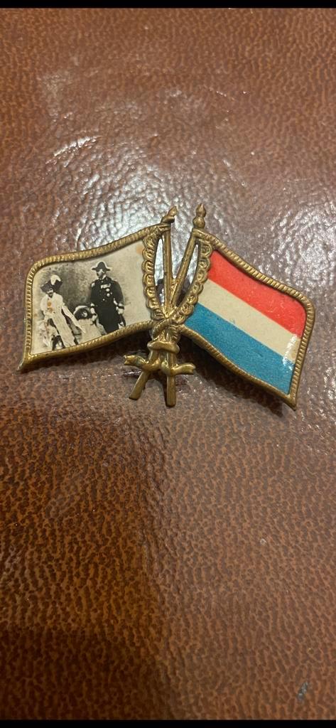 Bijzonder speldje van koningklijkhuis met hollanse vlag, Verzamelen, Militaria | Algemeen, Overige soorten, Embleem of Badge, Nederland