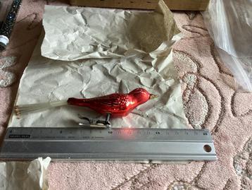 Glasvogel beschikbaar voor biedingen