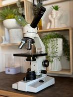 Novex microscoop FL-100 LED, Audio, Tv en Foto, Optische apparatuur | Microscopen, Zo goed als nieuw, Biologische microscoop, Ophalen