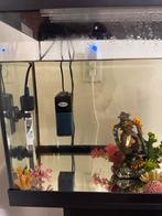 Aquarium, Ophalen of Verzenden, Gevuld zoetwateraquarium